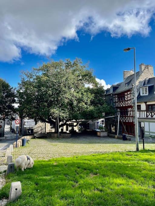 Le Cottage Breton, Hypercentre Historique Stb 圣布里厄 外观 照片